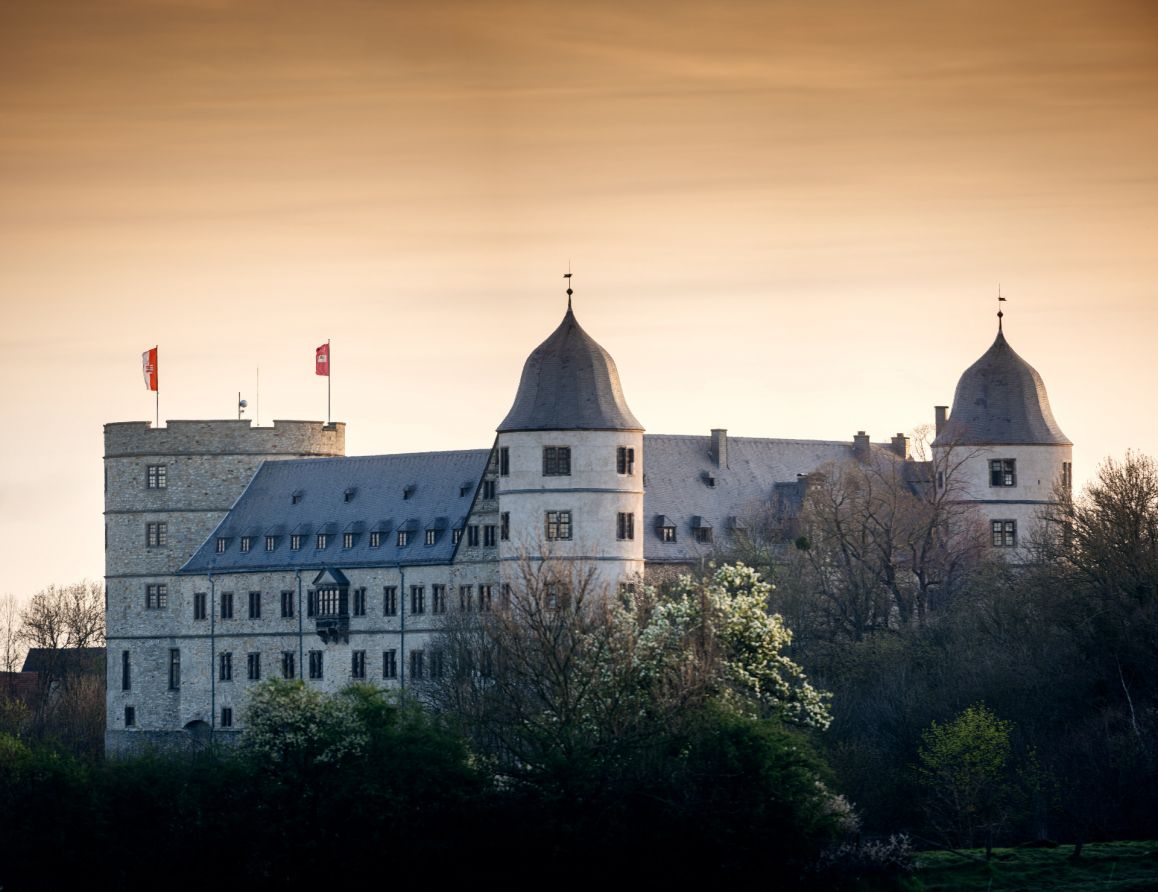 Frühling 2020_Besim Mazhiqi4